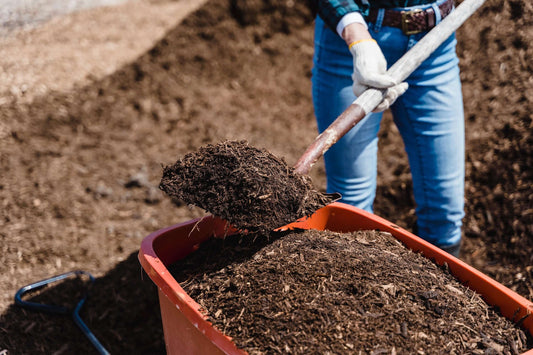 Get Started with Composting